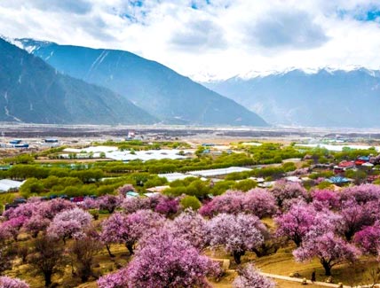 6 Days Lhasa and Nyingchi Highlights Tour